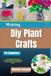 Making Diy Plant Crafts For Beginners