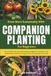 Grow More Sustainably with Companion Planting for Beginners