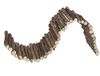 Nobby Woodland Houten brug voor knaagdieren, M, lang, 72 x 19 cm
