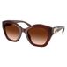 Coach zonnebril CAD31 donkerrood