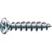 SPAX 1411010400555 FEX-KS raambouwschroef, 4,0 mm x 55 mm PH2, zilver (500 stuks)