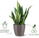 Elho Brussels Diamond Rond 25 Bloempot - Antraciet