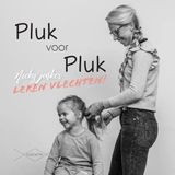 Pluk Boekscout Pluk voor pluk - leren vlechten!