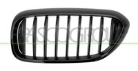 PRASCO Kühlergitter BM0532004 links | Compatibel met: BMW 5, 5 Touring