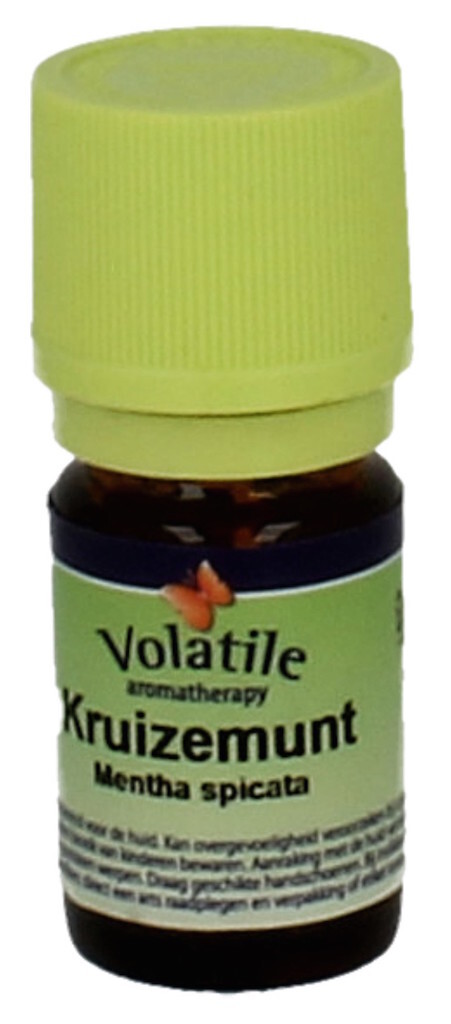 Volatile Kruizemunt Mentha Spicata 5ml