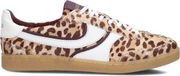Haboob Charlotte Sneakers - Dames - Bruin - Maat 39