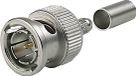 Telegärtner J01002A0058 HDTV-BNC-connecteur fiche, recht 75 Ω 1 stuk(s)