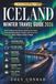 Iceland Winter Travel Guide 2026
