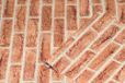 CLORD Plakfolie Marmerlook Fontana Beige 45 cm x 2 m