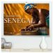 Gesichter Calvendo Gesichter des Senegal - Menschen, Kultur und Tradition (hochwertiger Premium Wandkalender 2027 DIN A2 quer), Kunstdruck in Hochglanz