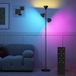Lampe sur pied réglable avec lumière de lecture, éclairage RVB changeant de couleur avec télécommande et commande tactile, 3 têtes pivotantes noir