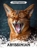 Abyssinian Photo Book: Exotic Cat Breed Images