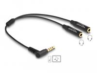 DeLOCK 66242 Audio Splitter Kabel 0,25 m 3.5mm Male naar 2x 3.5mm Female Zwart