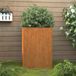 Maison Exclusive - Jardinière 42x38x75 cm, version acier Corten