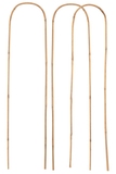 Connex Plantensteun 60X15Mm Bamboeboog 3St - FLOR78330