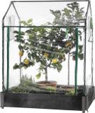 Green>it® HOME It® Tuinkas voor Verhoogde Bedden