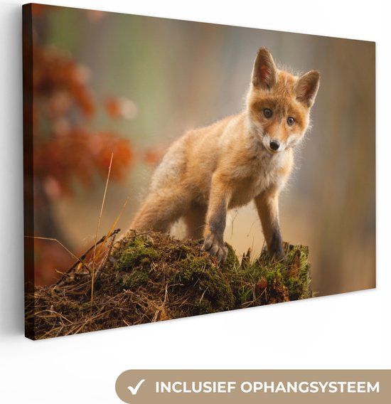 OneMillionCanvasses Canvas schilderij - Vos - Mos - Dieren - Bladeren - 180x120 cm