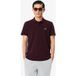 Lacoste Regular Fit Polo shirt Korte mouw bruin
