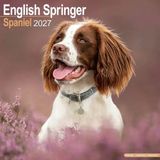 Avonside Engelse Springer Spaniel Kalender 2027