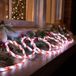 Merkloos Lichtslang - rood/wit gestreept - 20 led lampjes - wit - 6 meter - kerstverlichting - slangverlichting