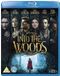 Disney Into The Woods Blu-ray