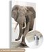 MuchoWow® Peinture sur verre 40x60 cm - Éléphant - Verre acrylique