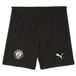 PUMA Short 25/26 FC St. Pauli Enfant et Adolescent, Vêtements, Noir, 9-10Y