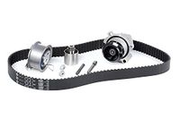 INA 530 0201 33 Waterpomp en distributieriem kit