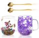 Double-walled Glass Mug Set of 2 with Dried Flowers - 350 ml