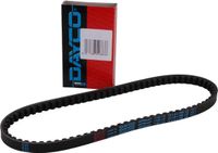 Dayco V-snaar 700/18