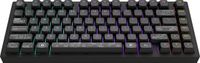 Dark Project ALU Terra Nova R2 - Draadloos Mechanisch Gaming Toetsenbord ANSI - Zwart