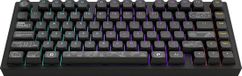 Dark Project ALU Terra Nova R2 - Draadloos Mechanisch Gaming Toetsenbord ANSI - Zwart