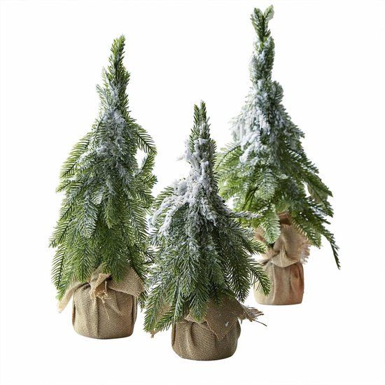 LOBERON Sierboom set van 3 Selitor groen