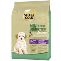 SELECT GOLD Droogvoeding Hond Sensitive Mini Junior Lam met zalm en aardappel 1 kg