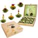 Creano Theebloemen cadeauset in houten theekist 12 bloementhee in 6 soorten groene thee fruitig gearomatiseerd, Fruity Flavor