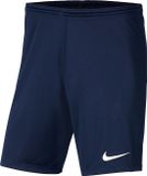 Nike Park III Sportbroek Mannen - Maat S - Donkerblauw
