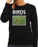 Bellatio Decorations Shoppartners Bv Dieren foto sweater Grutto - zwart - dames - birds of the world - cadeau trui vogels liefhebber XL