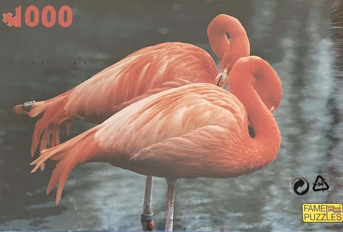 Fame Puzzles Dieren Puzzel 1000 Stukjes - Flamingo - Vogels