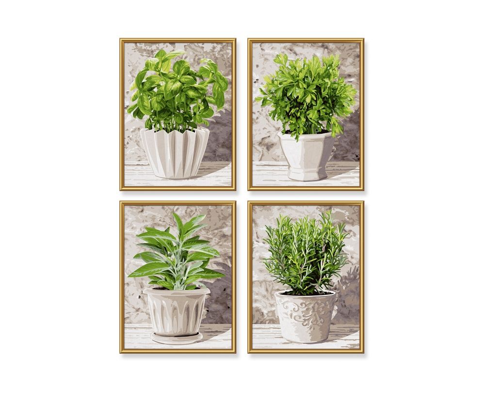 Schipper Culinary Herbs Meerkleurig