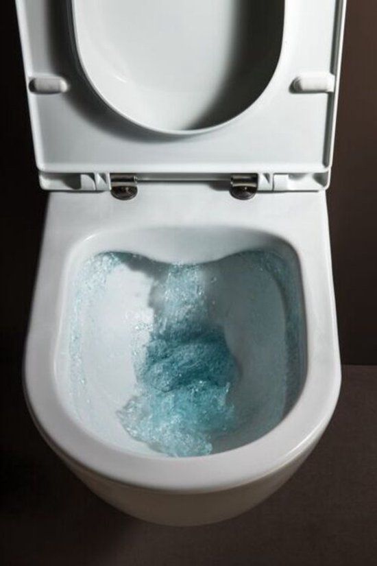 Laufen Pro Universal WC-bril SoftClose wit