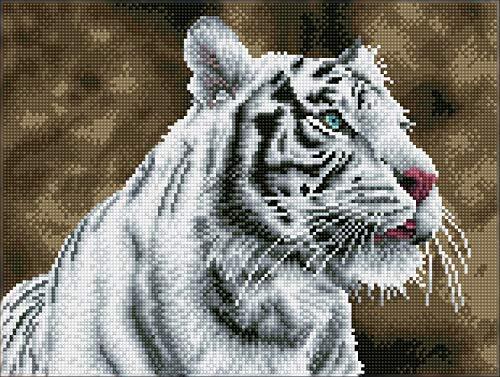 Diamond Dotz DQ8-007 Squares Tiger Blanc, ca. 31 x 41 cm groot, Diamond Painting-schilderen met diamanten, fonkelende afbeelding om zelf vorm te geven, voor kinderen en volwassenen, kleurrijk