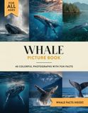 Whale Picture Book