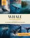 Whale Picture Book