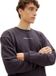 TOM TAILOR crew neck sweater with print Heren Trui - Maat L
