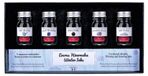 Kit de couleur, 5 x 10 ml, couleurs hivernales, convient aux stylos plume