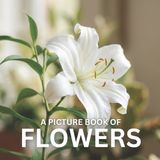 A Independently Published A Picture Book of Flowers