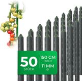 Novatool AMP 50 stuks plantenstokken 150cm groen 11mm