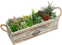 Unyqoos® Succulente artificielle dans un pot en bois