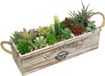 Unyqoos® Succulente artificielle dans un pot en bois