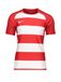 NIKE Functioneel shirt rood / wit